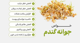 پک 3 عددی پودر جوانه گندم بین استار 25ساشه