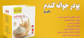 پک 3 عددی پودر جوانه گندم بین استار 25ساشه