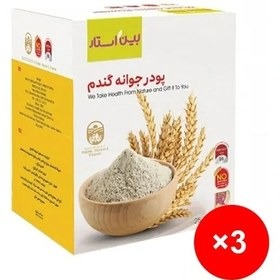 پک 3 عددی پودر جوانه گندم بین استار 25ساشه